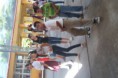 /album/club-de-danza-eti-77/sam-1272-jpg/