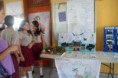 /album/entrega-de-calificaciones-del-1er-bimestre/sam-2393-jpg/